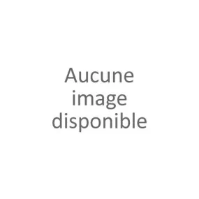 Robe chemise imprimé plume femme